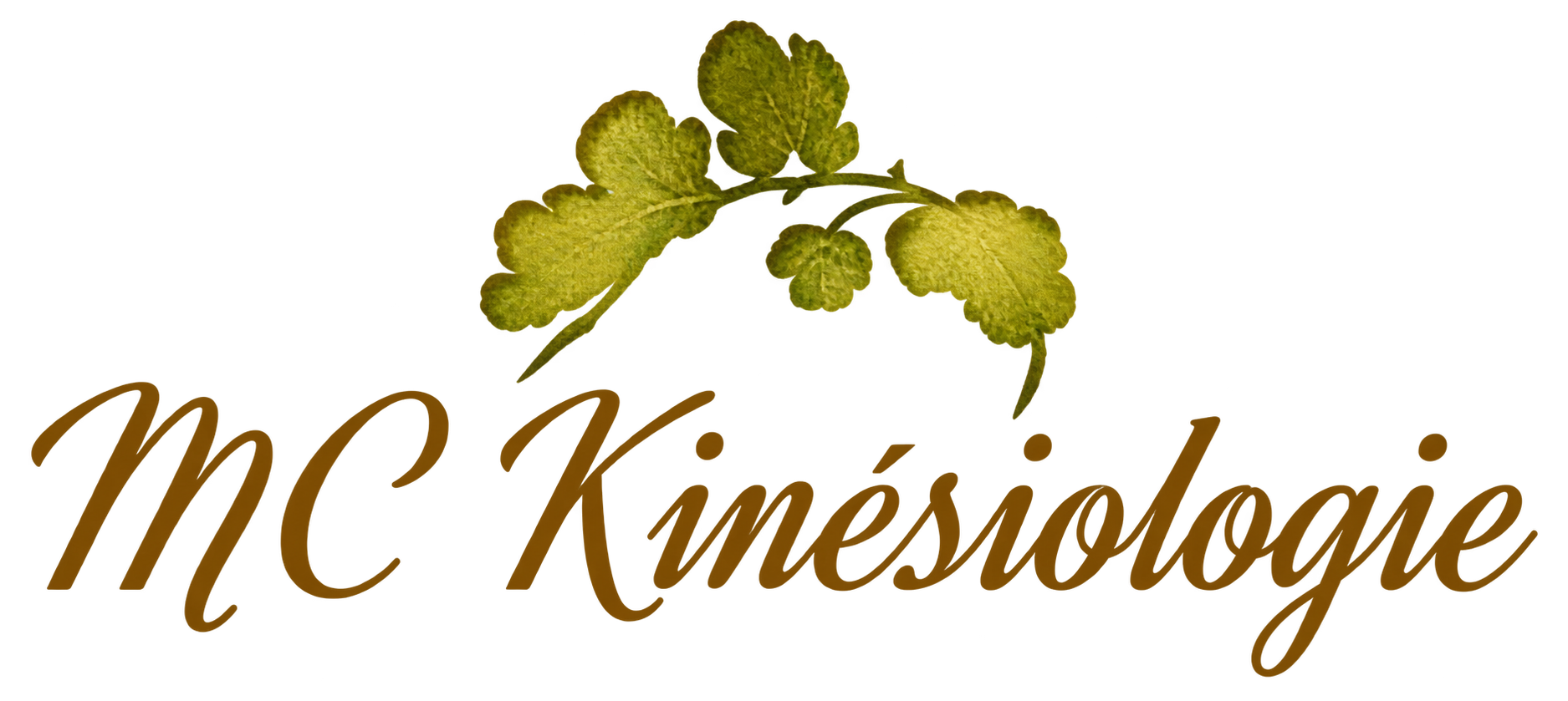 MC Kinésiologie